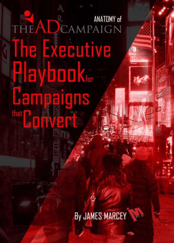 The Anatomy of The Ad Campaign — Book Cover