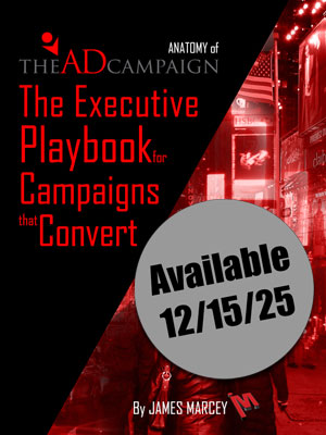 Anatomy of The Ad Campaign Book Cover
